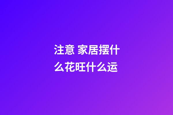 注意 家居摆什么花旺什么运